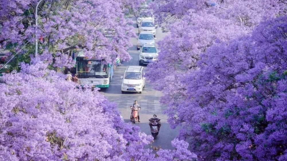 【昆明自由行】昆明最全旅游攻略,必去的景点、美食、行程规划