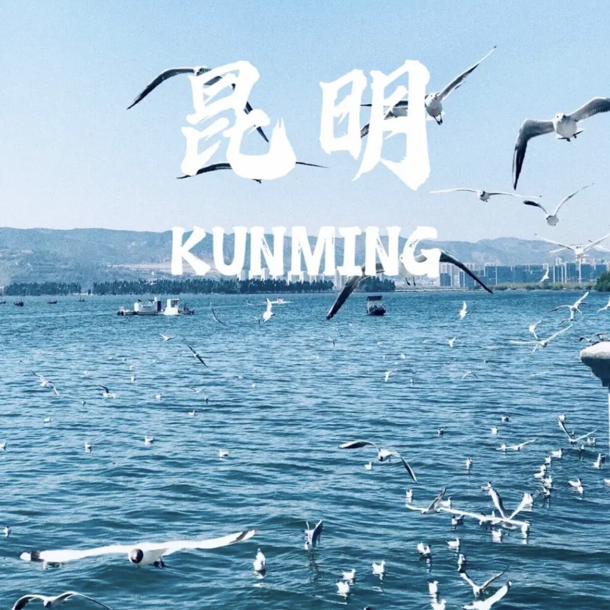 2025雲南昆明自由行全攻略|5天4夜路線+避坑指南